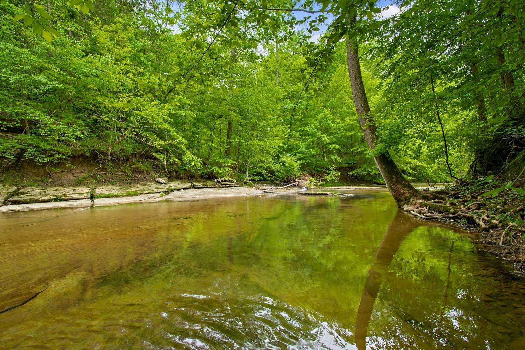 9 Acres of Residential Land for Sale in Fairview, Tennessee