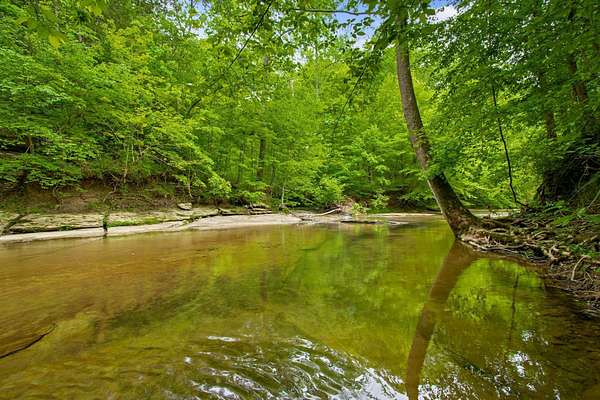 9 Acres of Residential Land for Sale in Fairview, Tennessee