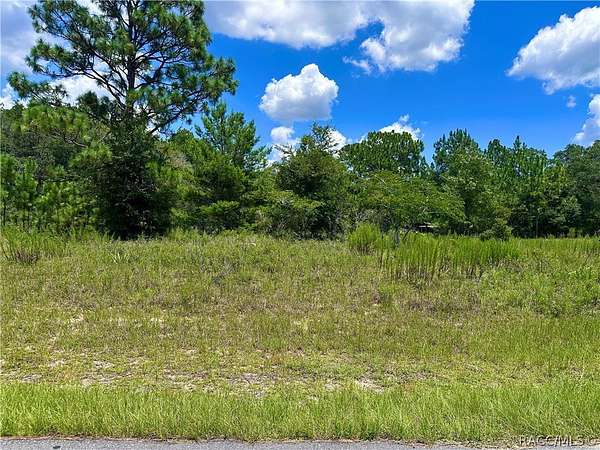 0.39 Acres of Residential Land for Sale in Citrus Springs, Florida