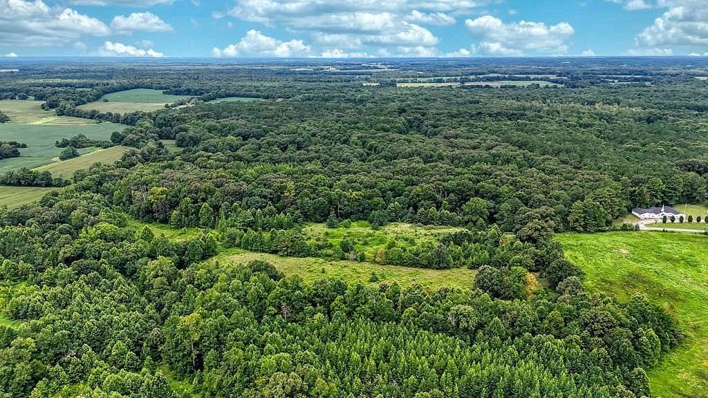 46.5 Acres of Recreational & Residential Land for Sale in Dukedom, Tennessee