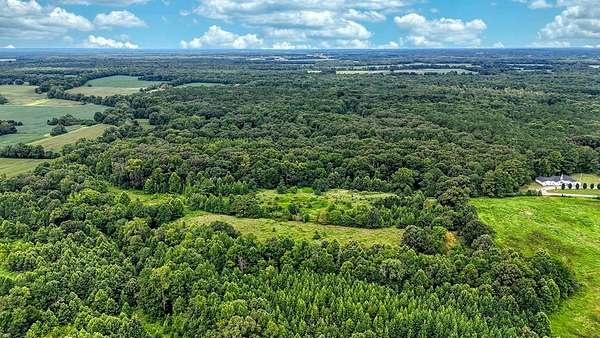 46.5 Acres of Recreational & Residential Land for Sale in Dukedom, Tennessee
