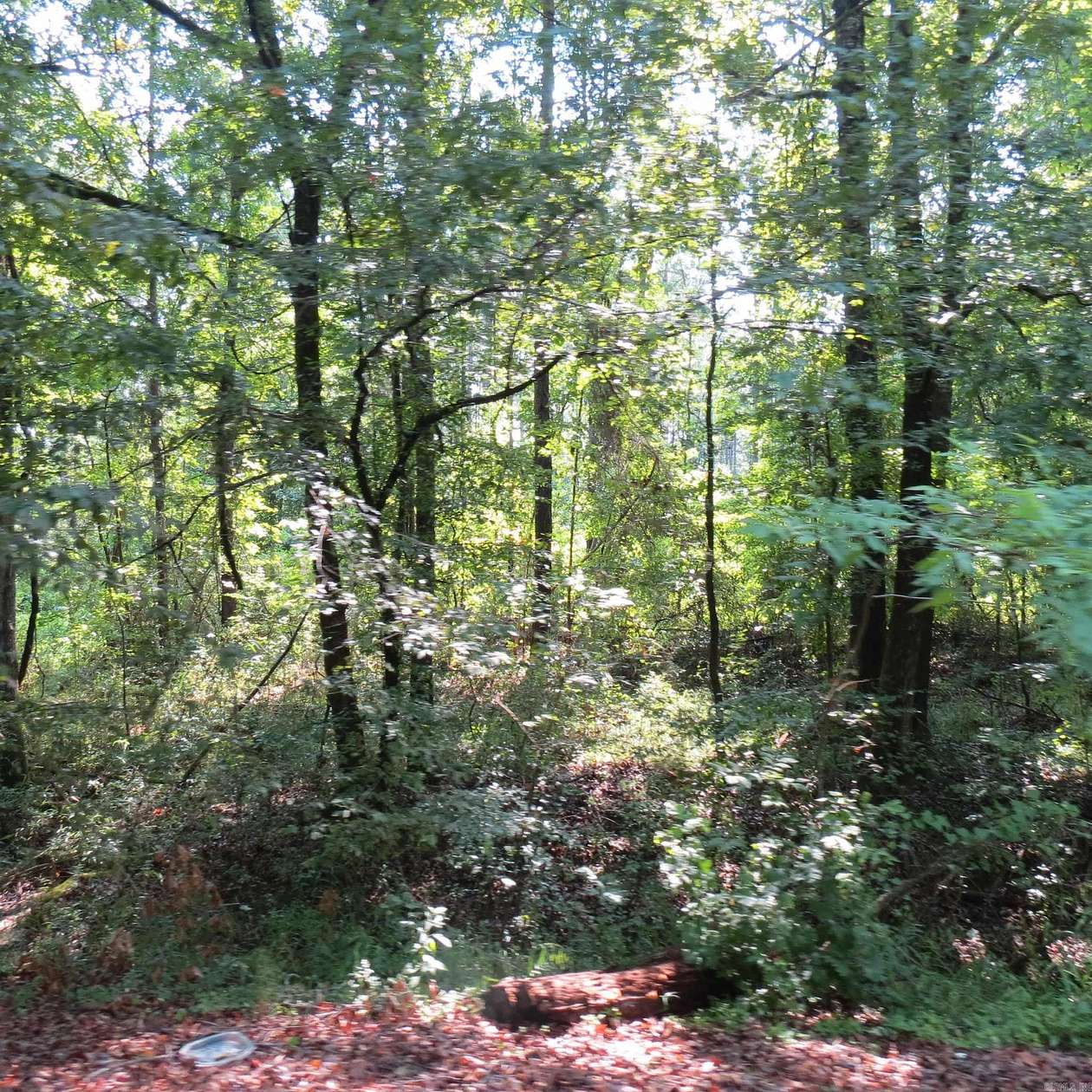 68 Acres of Recreational Land for Sale in Wilmar, Arkansas
