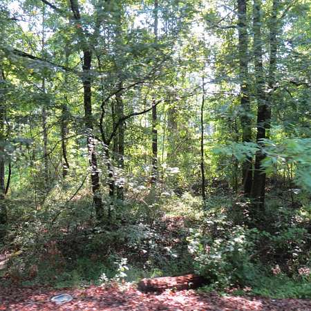 68 Acres of Recreational Land for Sale in Wilmar, Arkansas