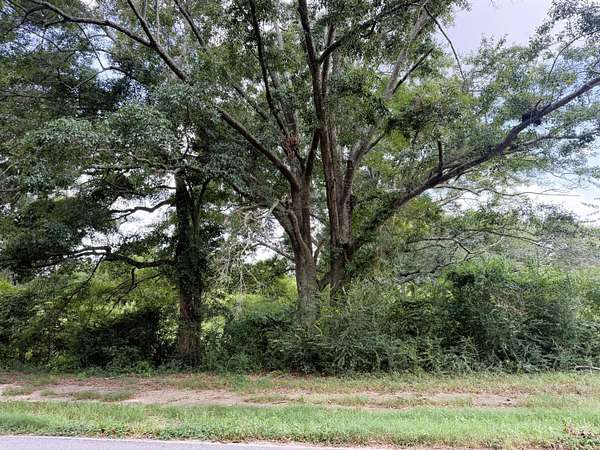 48.5 Acres of Land for Sale in Sumrall, Mississippi