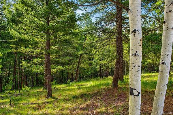 1.35 Acres of Residential Land for Sale in Divide, Colorado