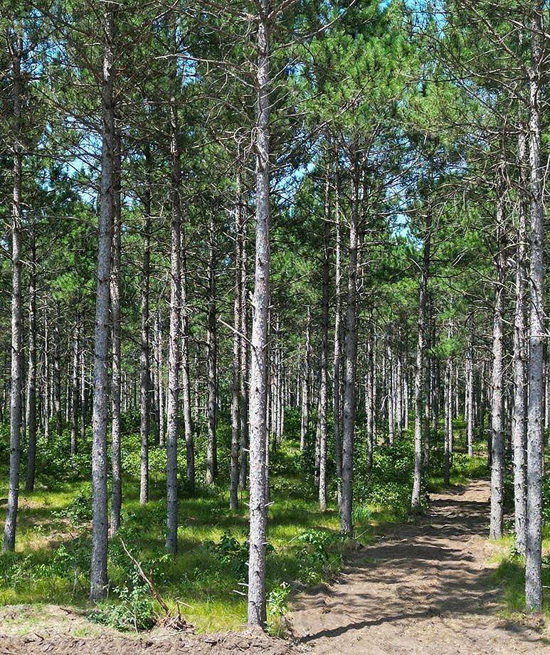 2.3 Acres of Residential Land for Sale in Rome, Wisconsin