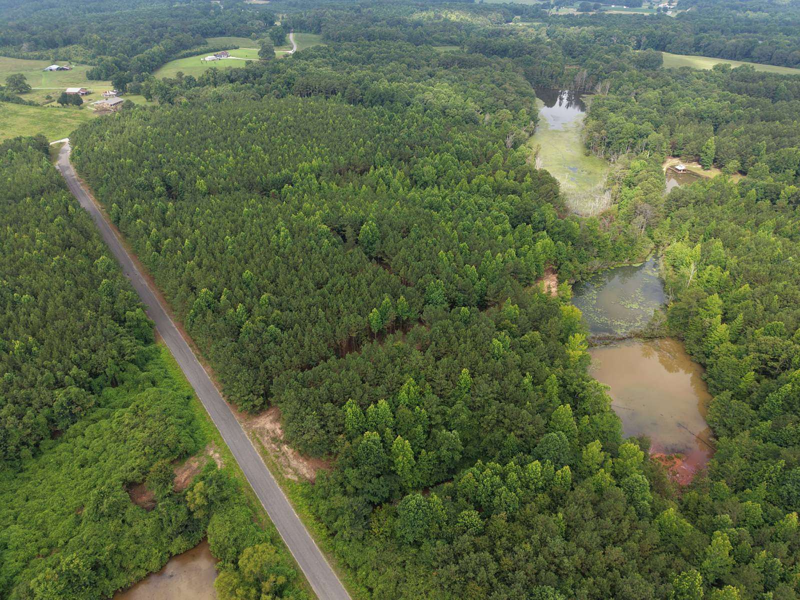 40 Acres of Land for Sale in Bremen, Alabama