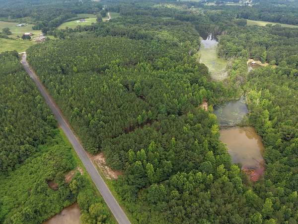 40 Acres of Land for Sale in Bremen, Alabama