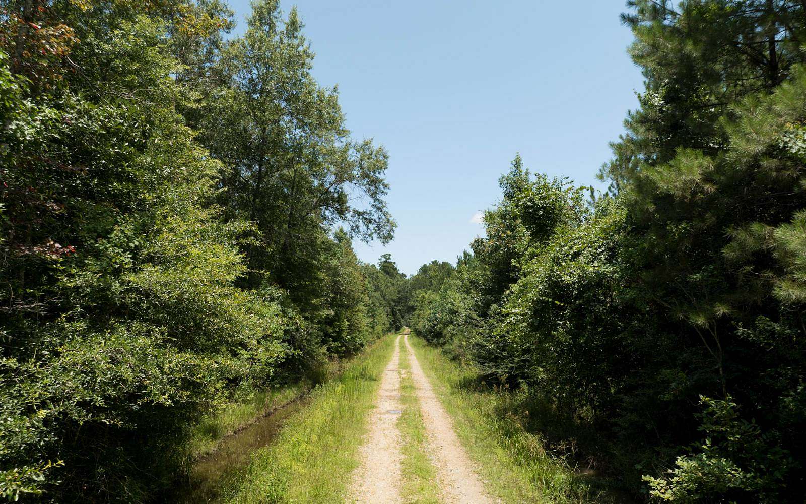 20 Acres of Land for Sale in Oakdale, Louisiana