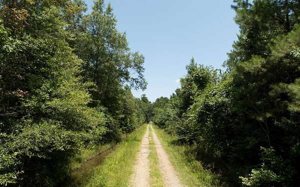 20 Acres of Land for Sale in Oakdale, Louisiana
