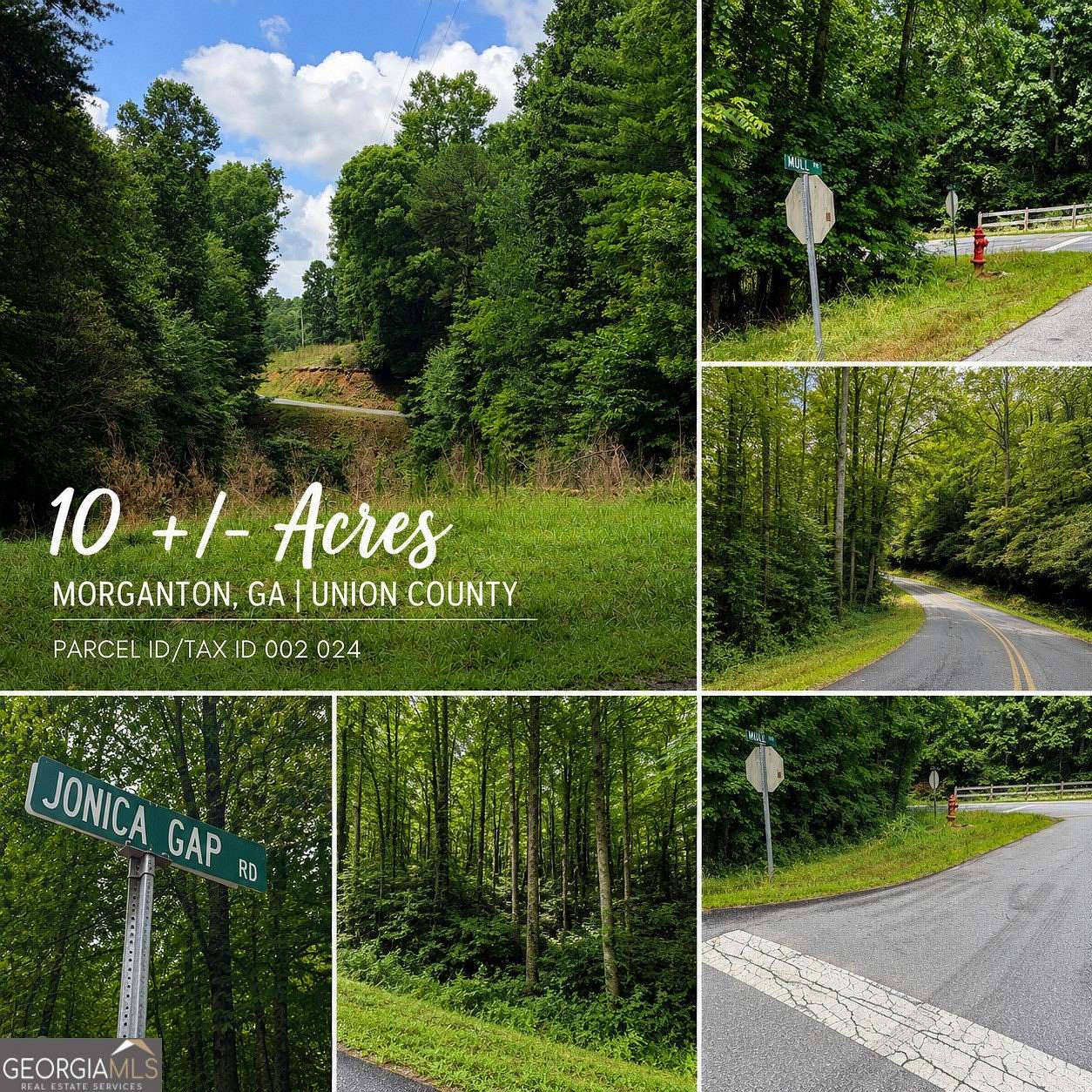 10 Acres of Residential Land for Sale in Morganton, Georgia
