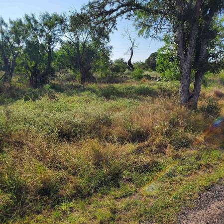 0.23 Acres of Residential Land for Sale in Granite Shoals, Texas
