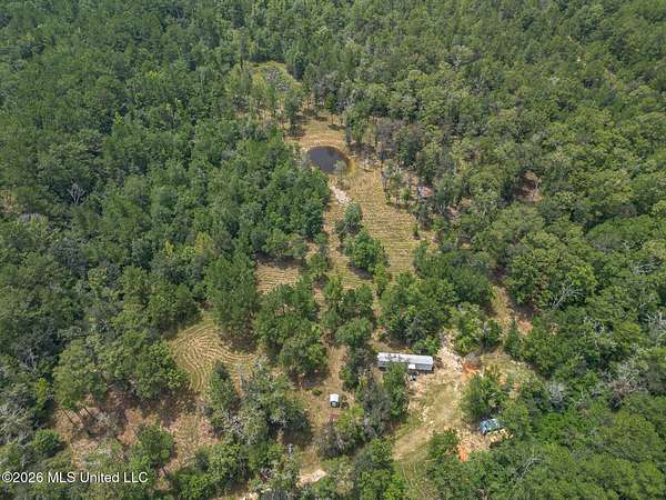 25 Acres of Recreational & Residential Land for Sale in Wiggins, Mississippi