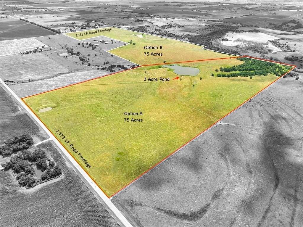 75 Acres of Land for Sale in Taylor, Texas