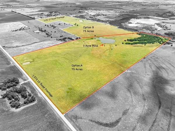 75 Acres of Land for Sale in Taylor, Texas