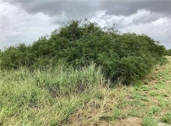 2.62 Acres of Residential Land for Sale in Riviera, Texas