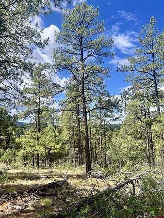 1.54 Acres of Land for Sale in Pagosa Springs, Colorado