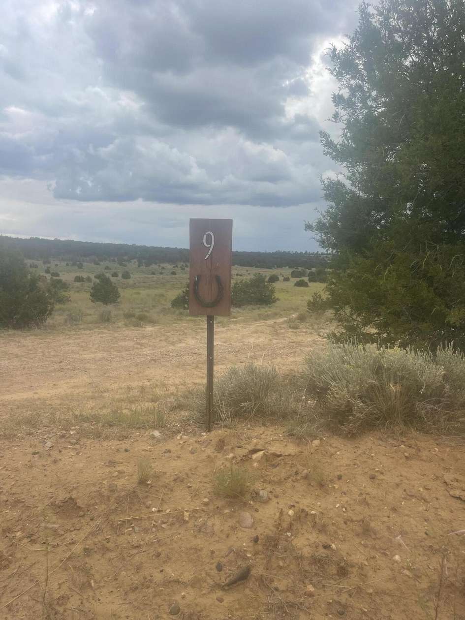 2.5 Acres of Residential Land for Sale in Ramah, New Mexico