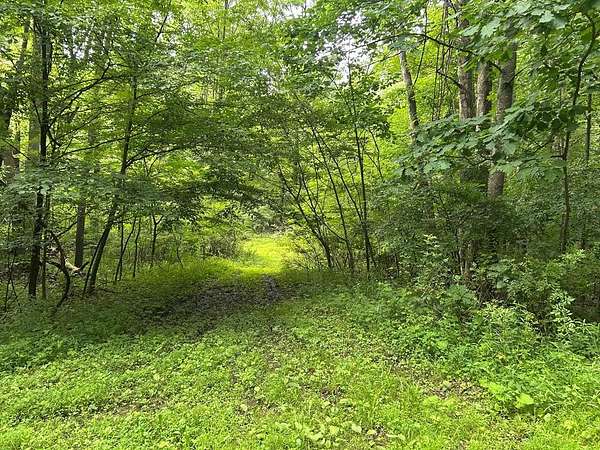 22 Acres of Recreational Land for Sale in Rimersburg, Pennsylvania
