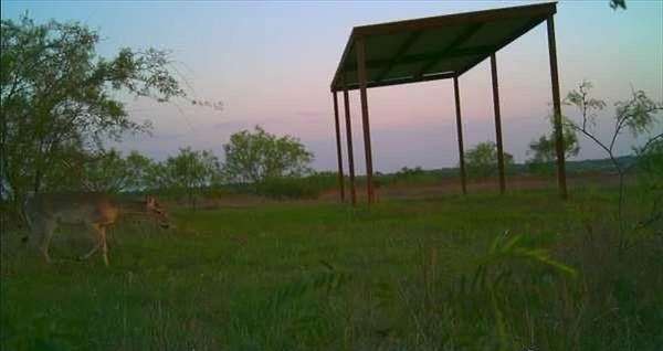 10 Acres of Land for Sale in Dublin, Texas