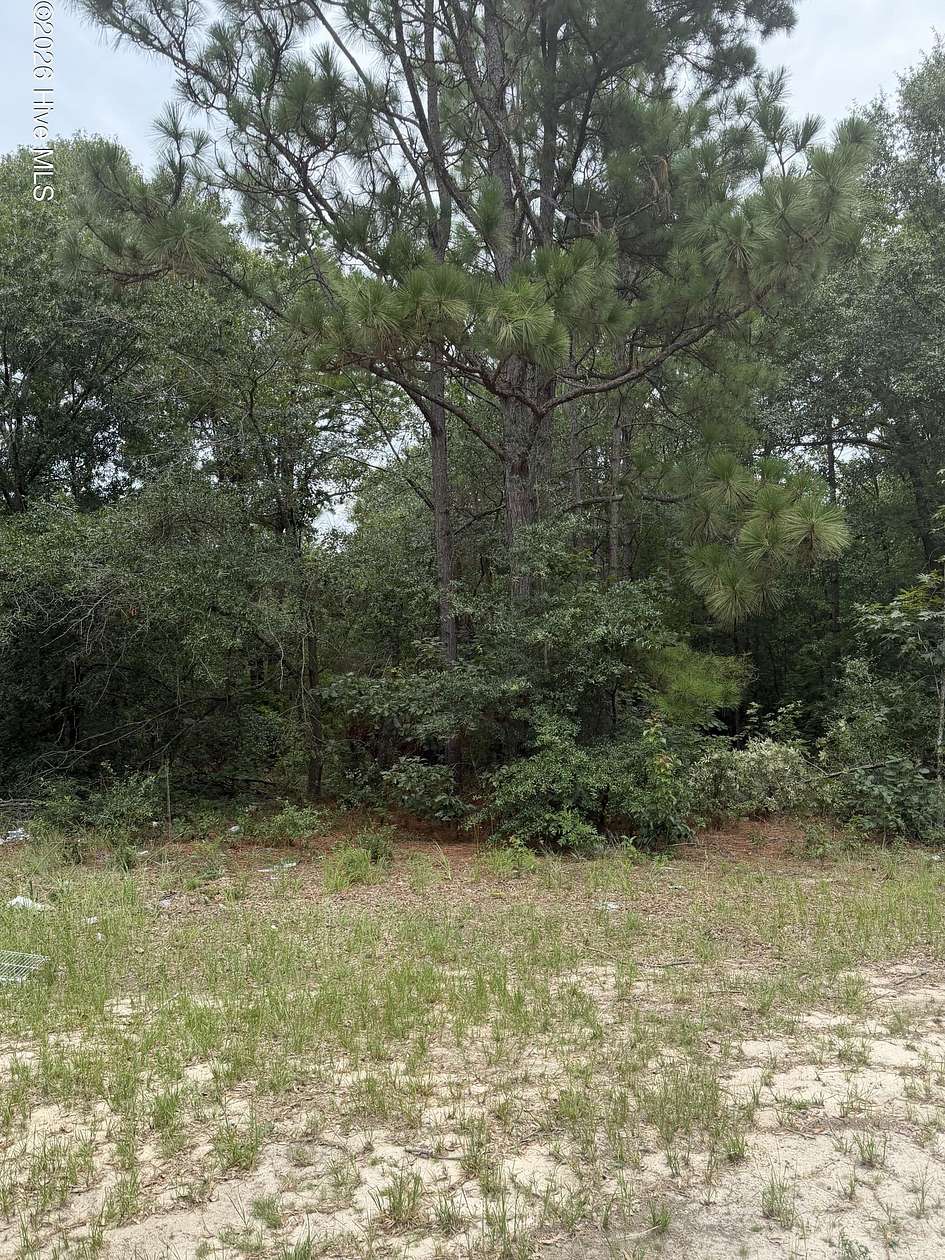 12 Acres of Recreational & Residential Land for Sale in Beech Island, South Carolina