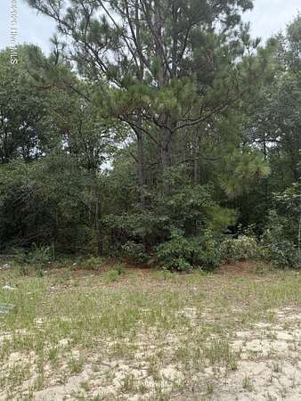 12 Acres of Recreational & Residential Land for Sale in Beech Island, South Carolina