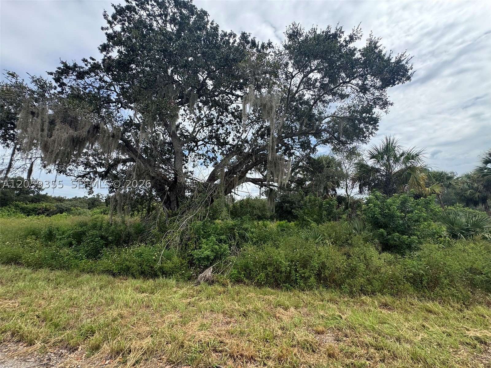 0.23 Acres of Residential Land for Sale in LaBelle, Florida