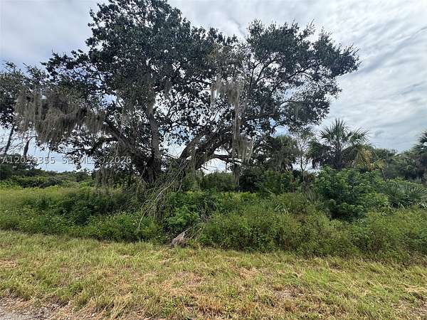 0.23 Acres of Residential Land for Sale in LaBelle, Florida