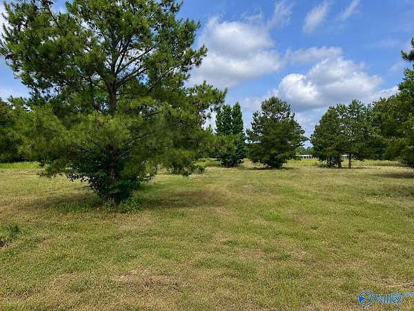 1.25 Acres of Residential Land for Sale in Centre, Alabama