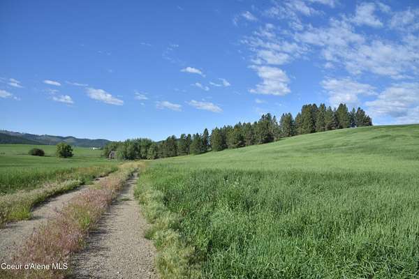 196 Acres of Recreational Land for Sale in Tensed, Idaho