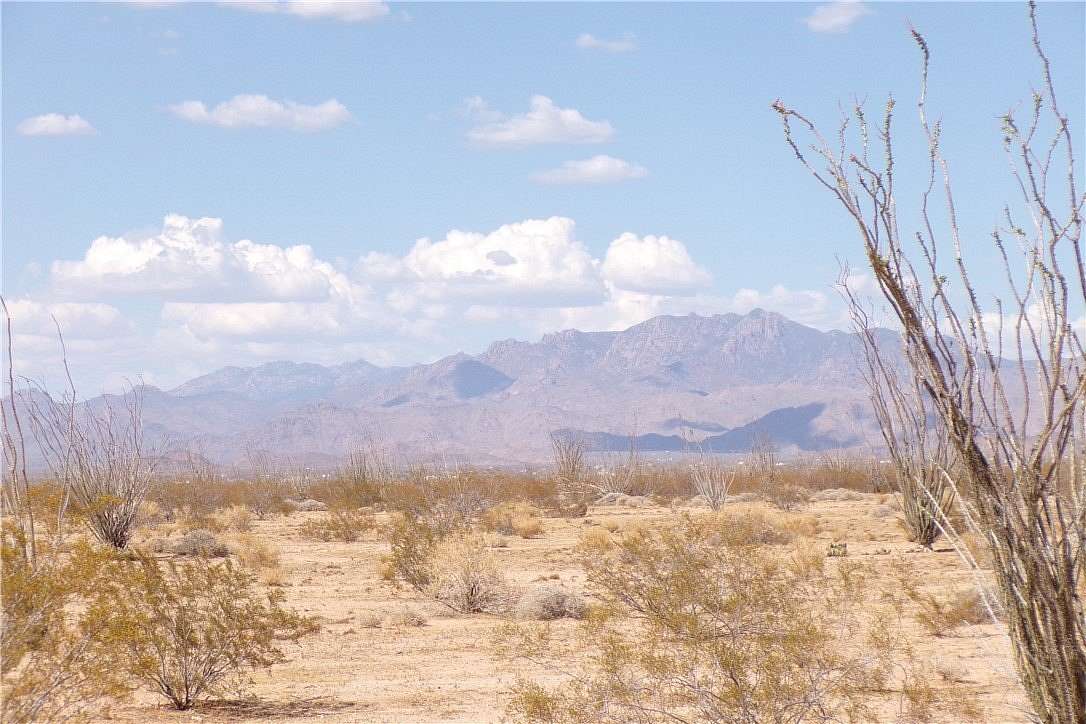 5 Acres of Residential Land for Sale in Yucca, Arizona