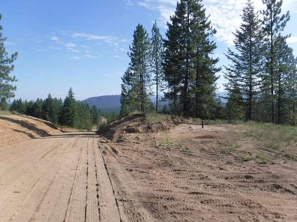 19.8 Acres of Land for Sale in Loon Lake, Washington