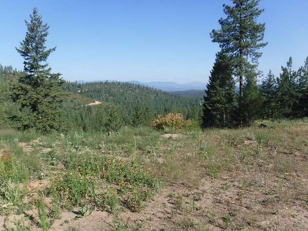 21 Acres of Recreational Land for Sale in Loon Lake, Washington