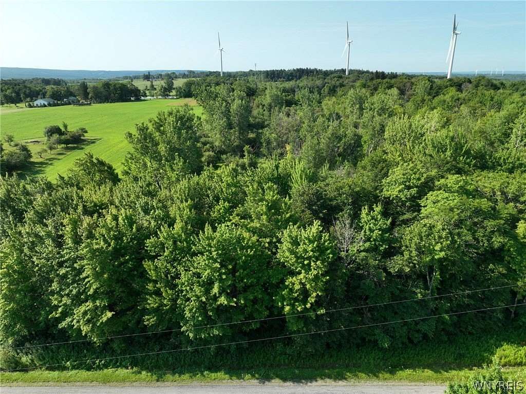 12.6 Acres of Land for Sale in Varysburg, New York