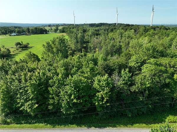 12.6 Acres of Land for Sale in Varysburg, New York