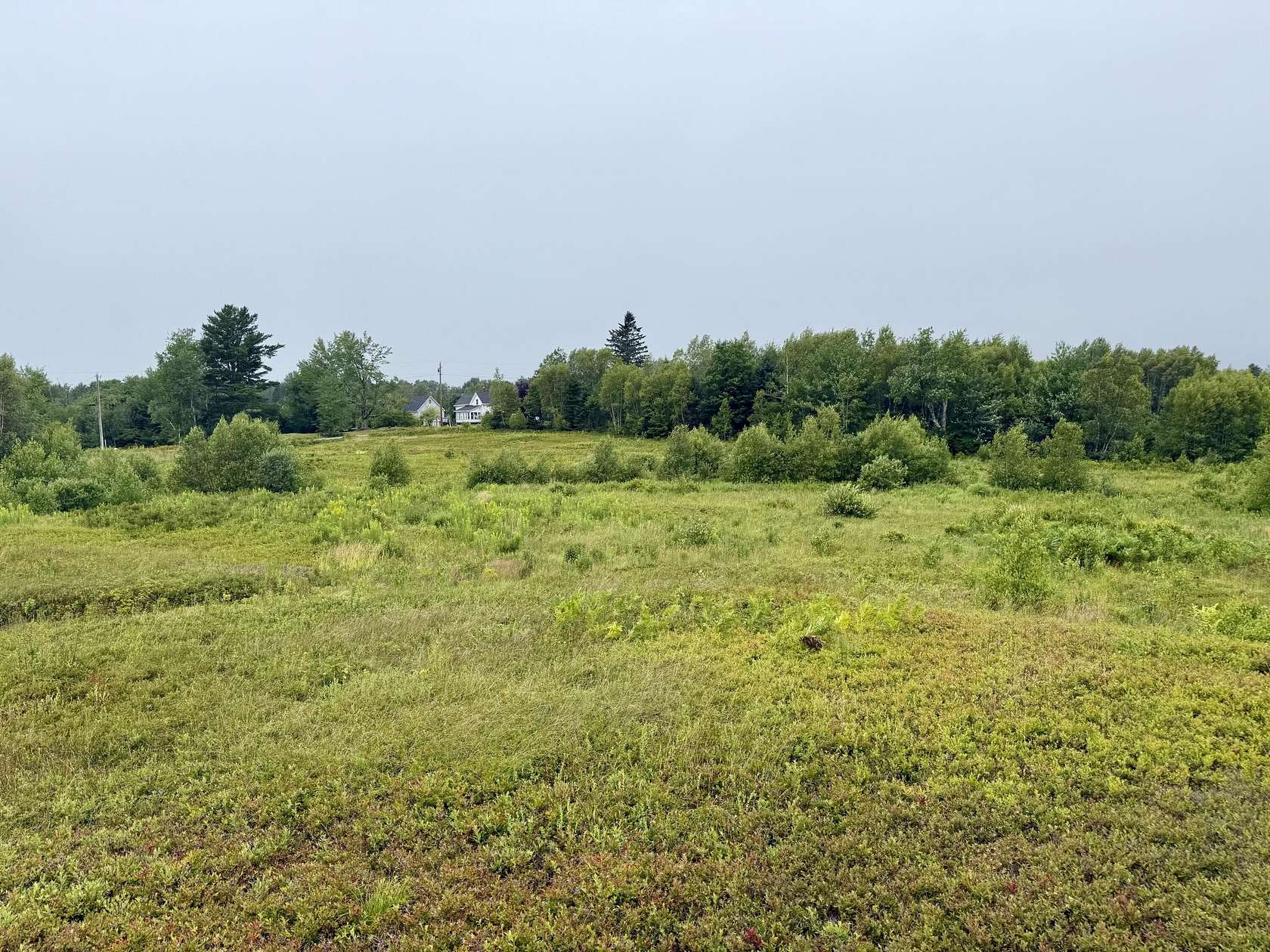 15 Acres of Land for Sale in Gouldsboro, Maine