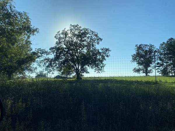 73.7 Acres of Recreational & Residential Land for Sale in Banks, Alabama