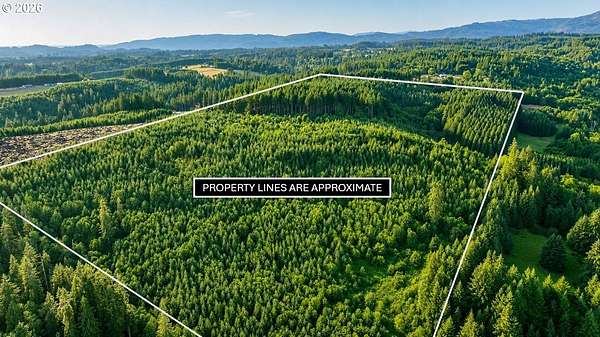 81.8 Acres of Recreational & Residential Land for Sale in La Center, Washington