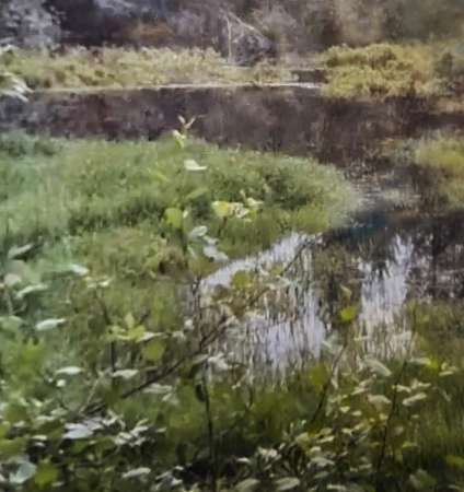 20 Acres of Land for Sale in Newport, Washington