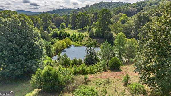 34 Acres of Land for Sale in Heflin, Alabama