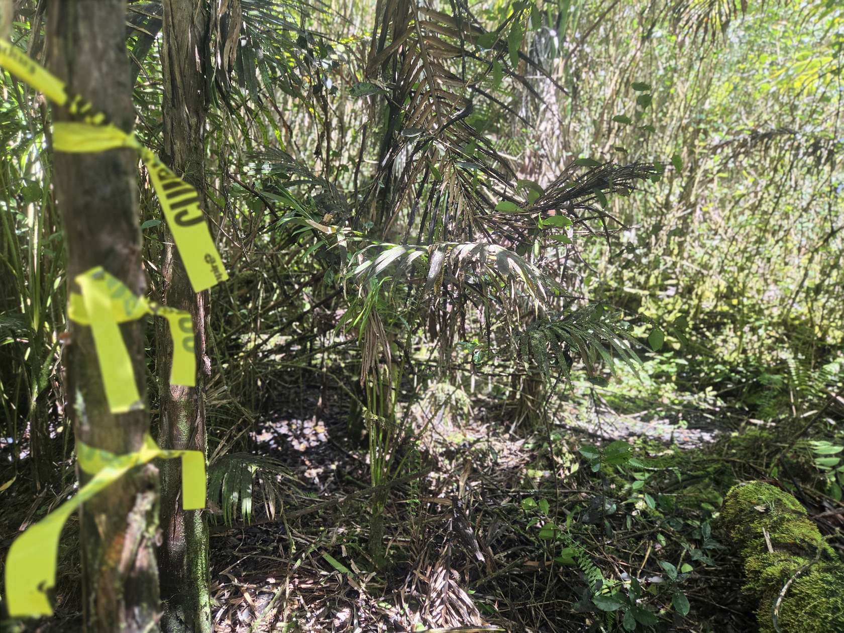 1.24 Acres of Residential Land for Sale in Pahoa, Hawaii