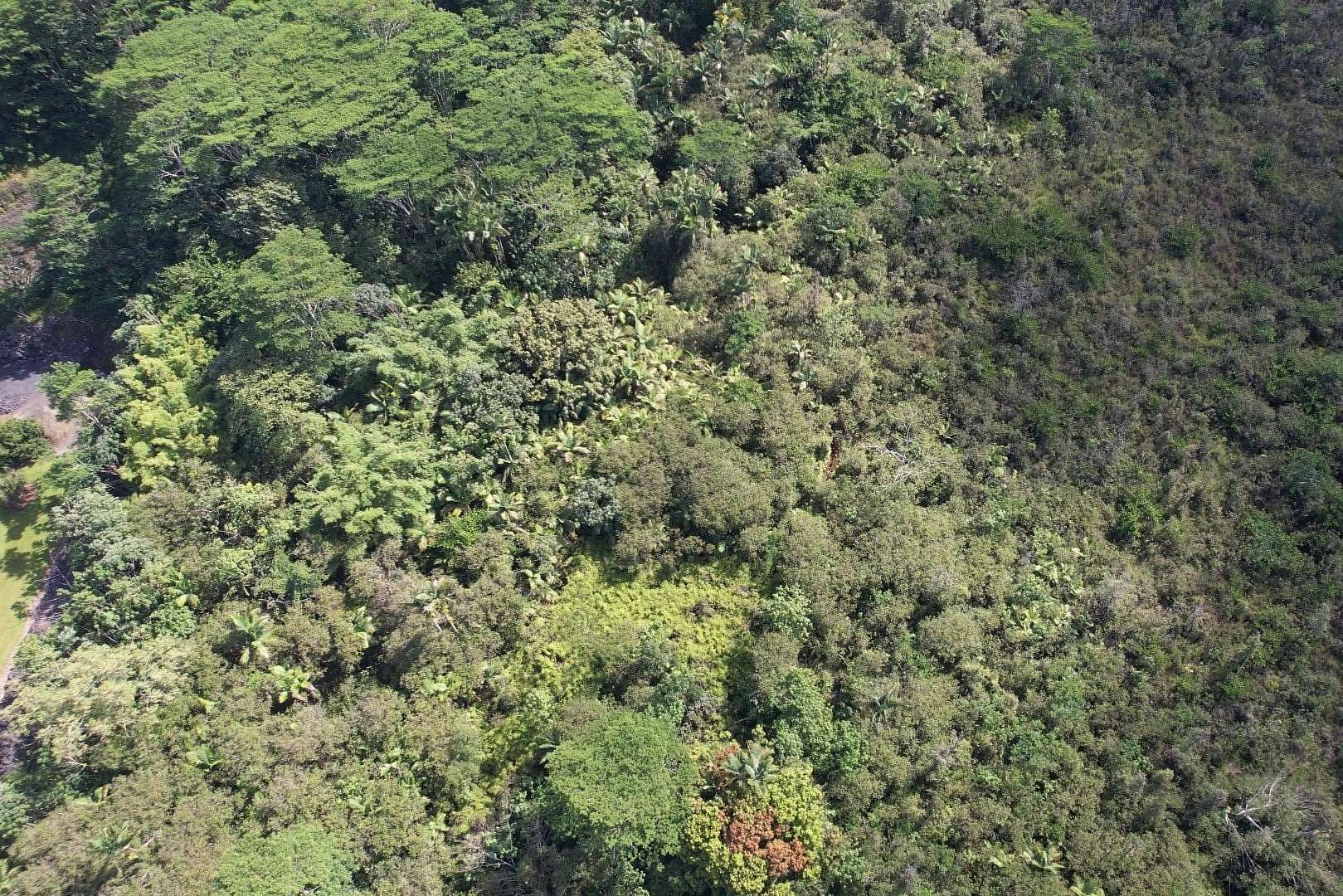 1.24 Acres of Residential Land for Sale in Pahoa, Hawaii