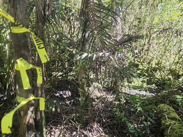 1.24 Acres of Residential Land for Sale in Pahoa, Hawaii