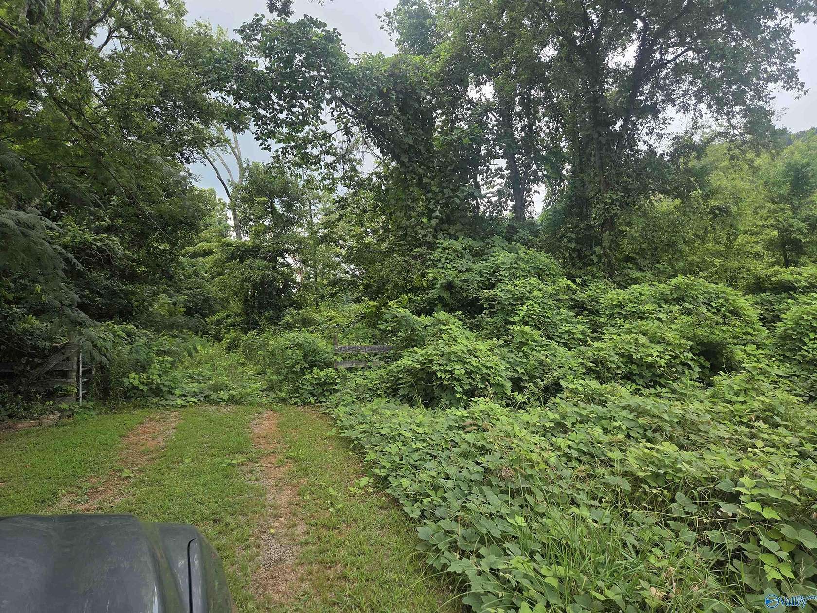 26 Acres of Land for Sale in Hartselle, Alabama