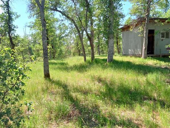 10 Acres of Land for Sale in Cottonwood, California