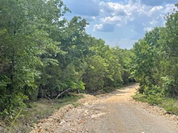 15 Acres of Land for Sale in Oakland, Arkansas