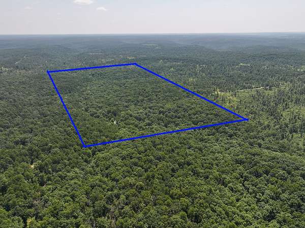 75.6 Acres of Land for Sale in Bucyrus, Missouri
