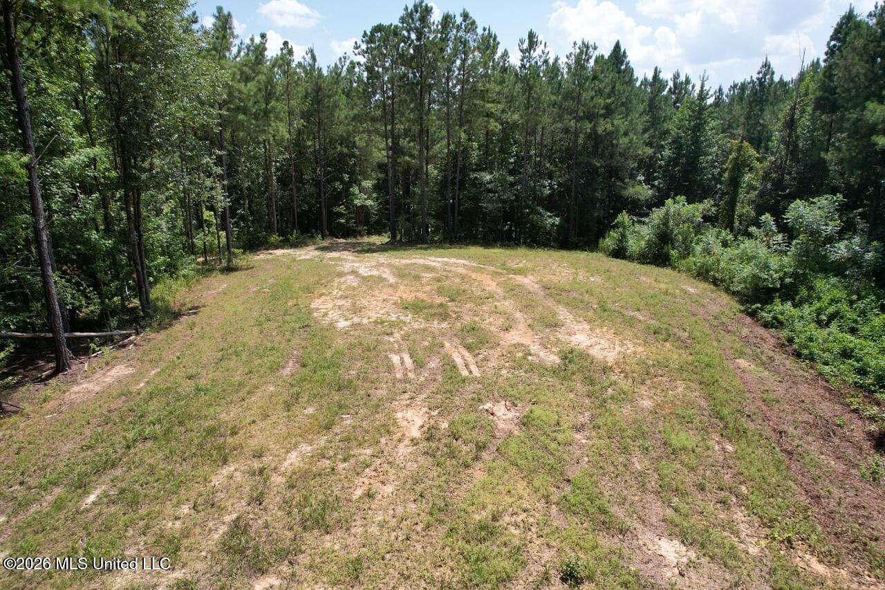 11 Acres of Land for Sale in McCall Creek, Mississippi