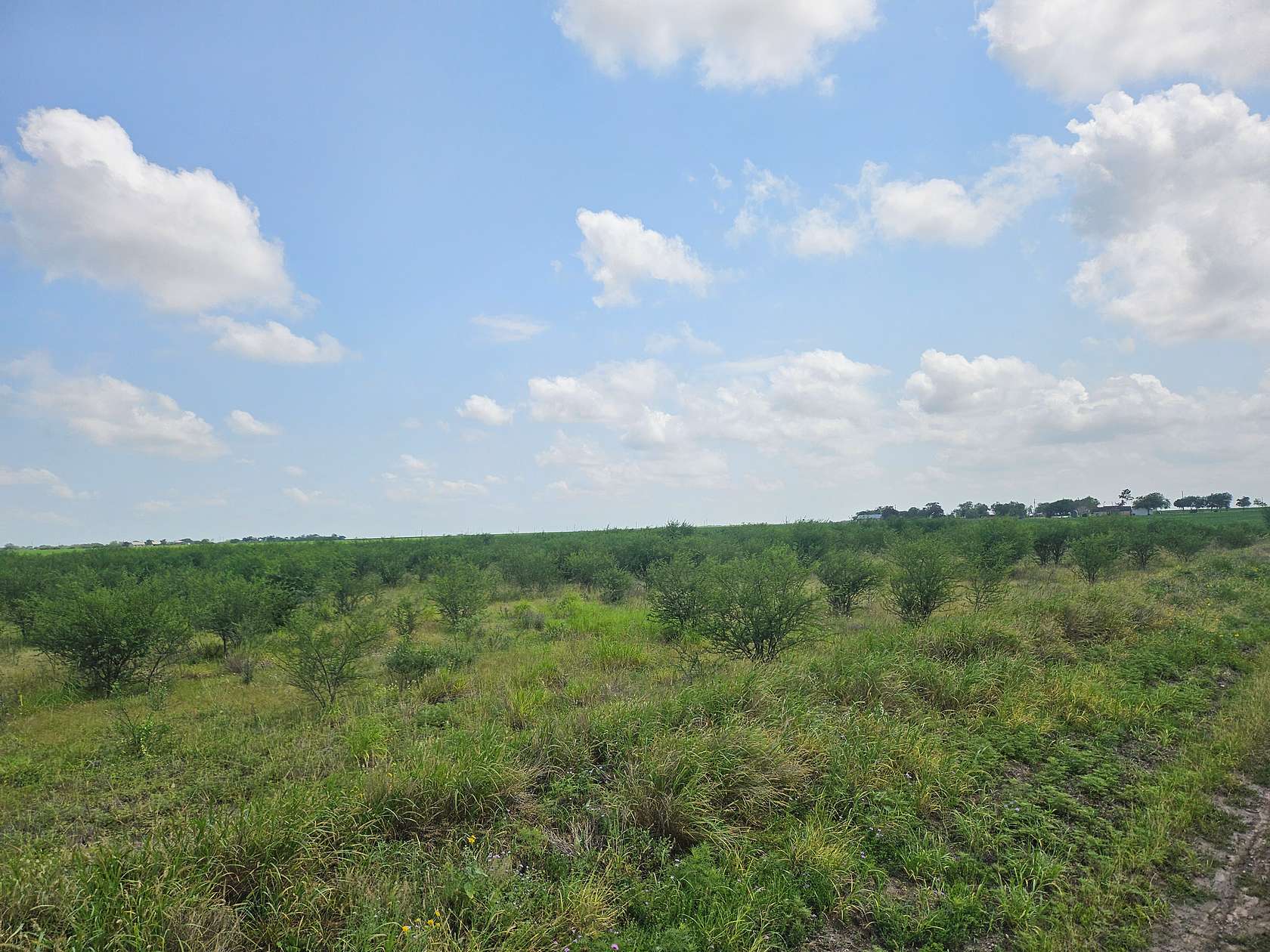 22.9 Acres of Land for Sale in Sandia, Texas