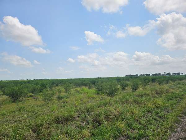22.9 Acres of Land for Sale in Sandia, Texas